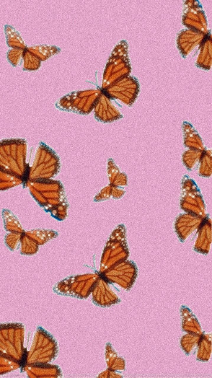 Featured image of post Artsy Aesthetic Butterfly Wallpaper Pink