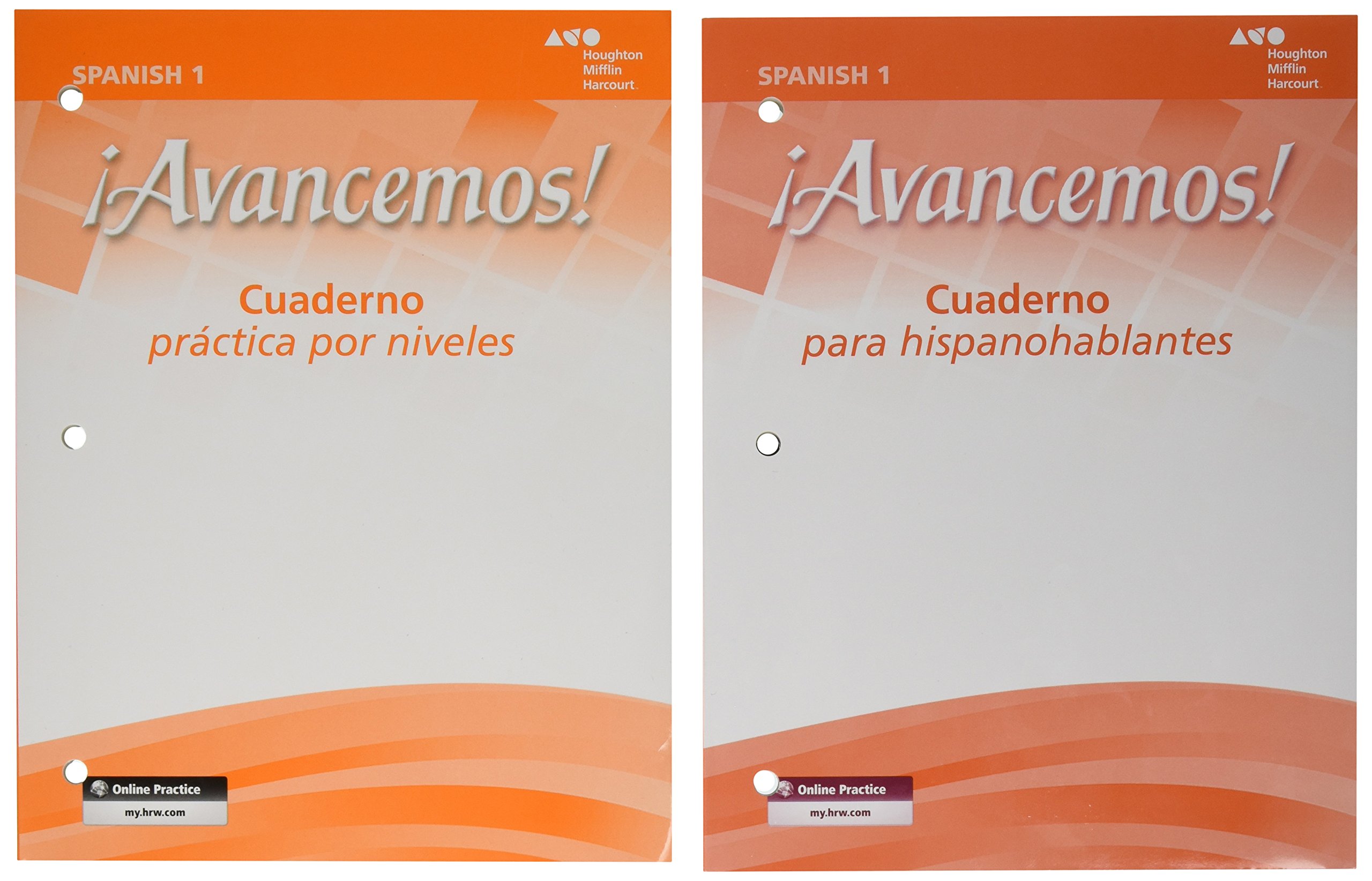 Featured image of post Avancemos 1 Workbook