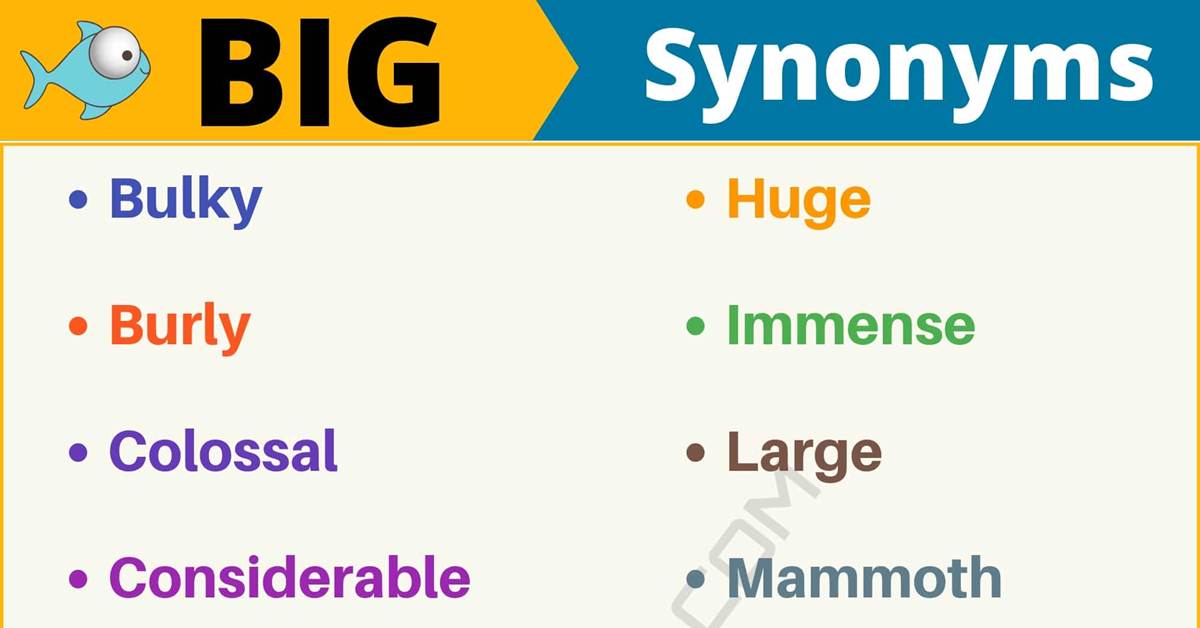 Featured image of post Bigger Picture Synonym