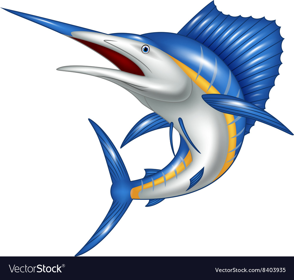 Featured image of post Blue Marlin Vector