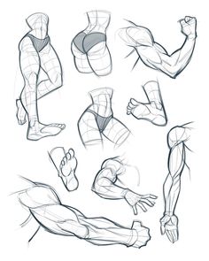 Featured image of post Body Drawing Reference Pinterest