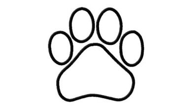Featured image of post Dog Paw Outline Clipart
