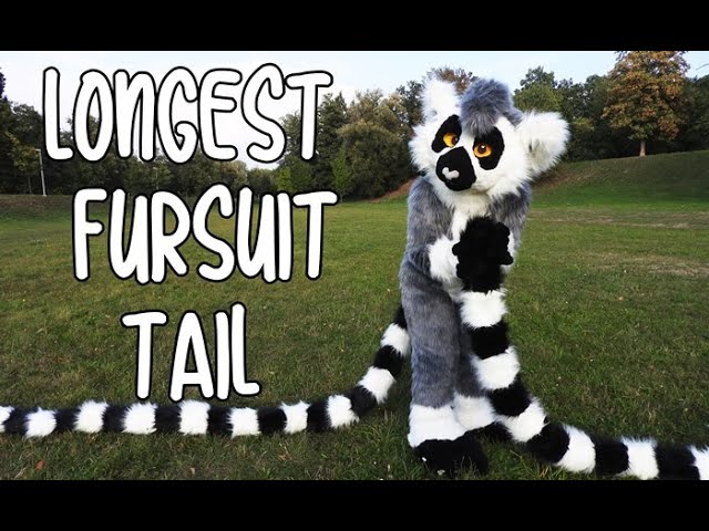 Featured image of post Fursuit Tail Long