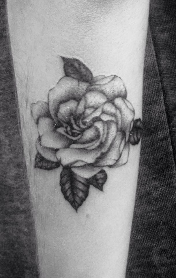 Featured image of post Gardenia Tattoo Black And White