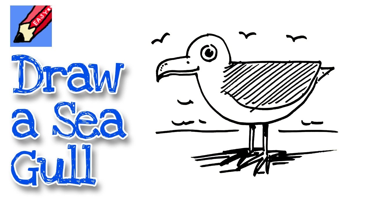 Featured image of post How To Draw A Seagull Easy