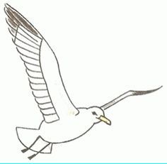 Featured image of post How To Draw A Seagull Flying Easy