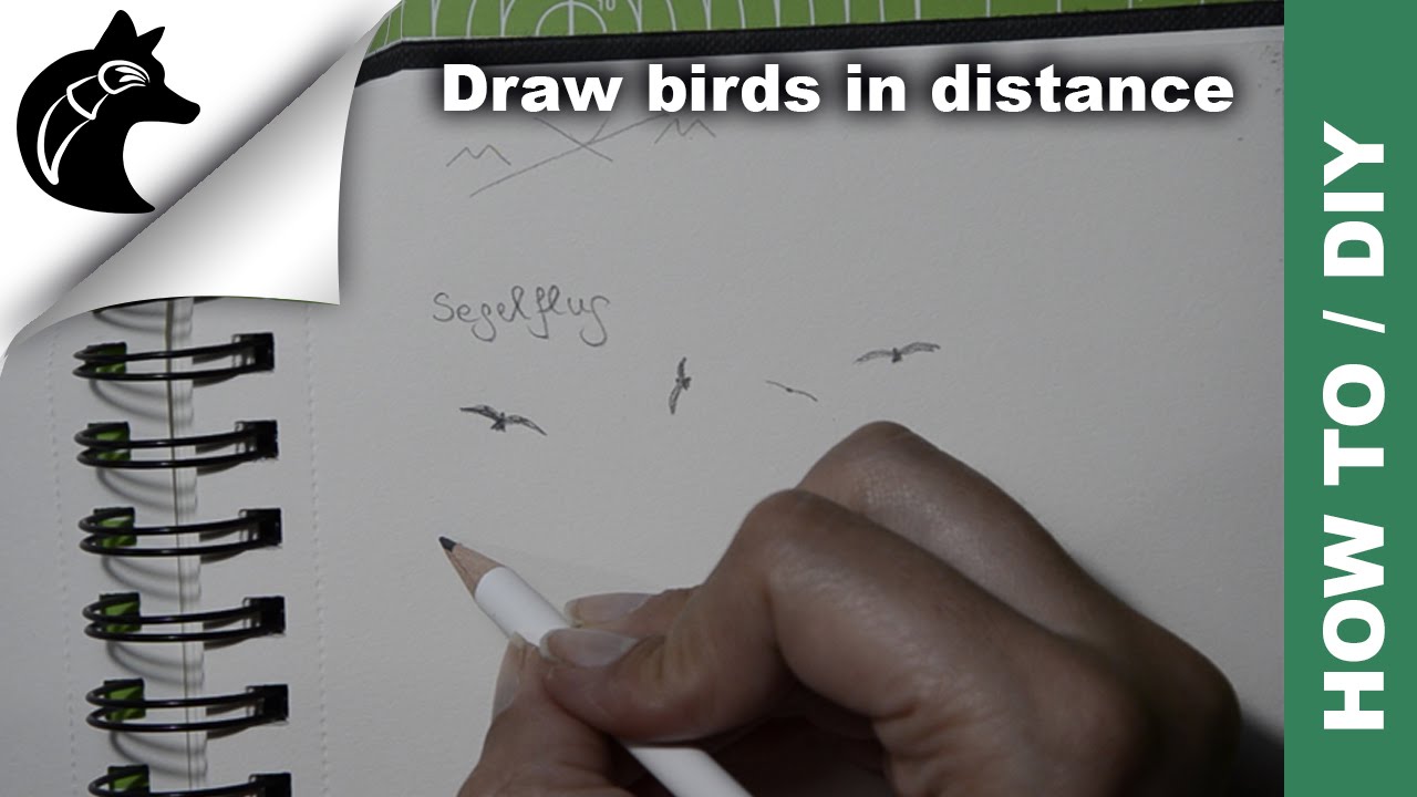 Featured image of post How To Draw A Seagull In The Distance