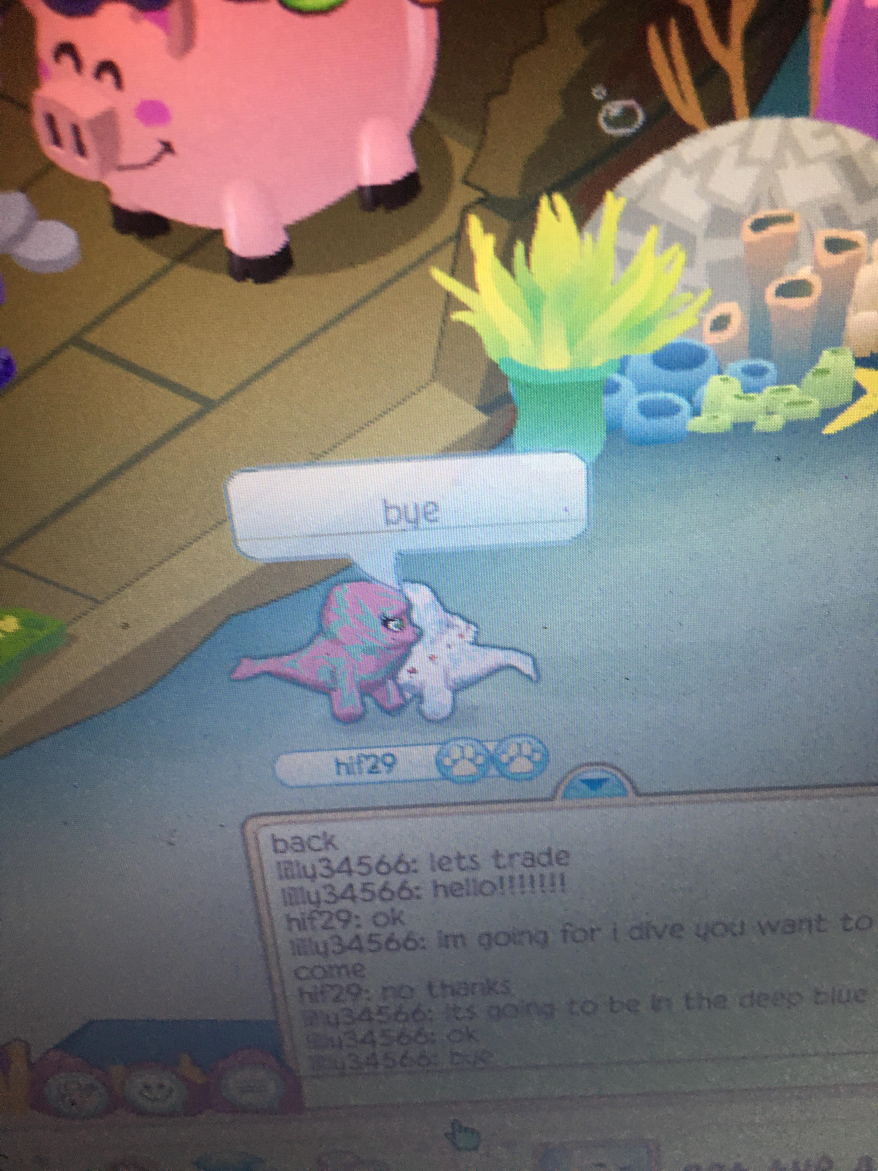 Featured image of post Is Animal Jam Shutting Down