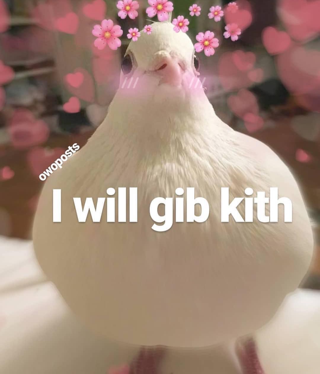 Featured image of post Kith Meme