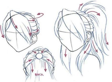 Featured image of post Ponytail Hair Drawing Reference