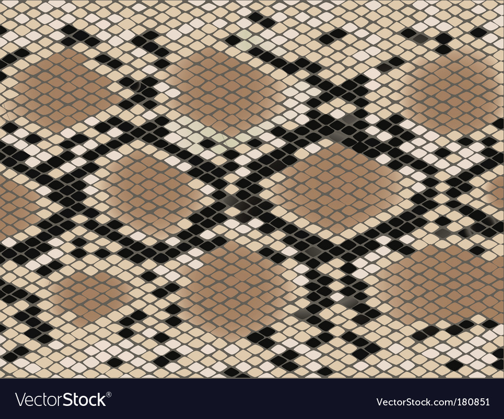 Featured image of post Snake Skin Vector Art