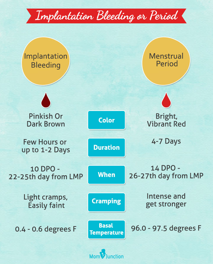 Featured image of post When Would Implantation Occur In A 26 Day Cycle