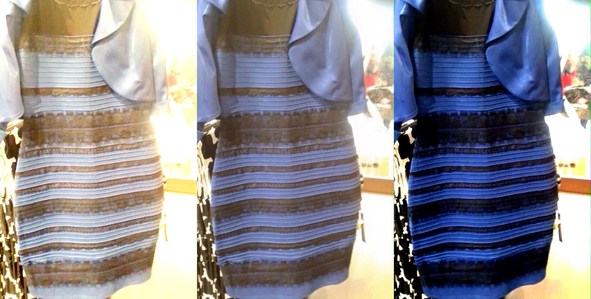 Featured image of post Which Color Is The Dress