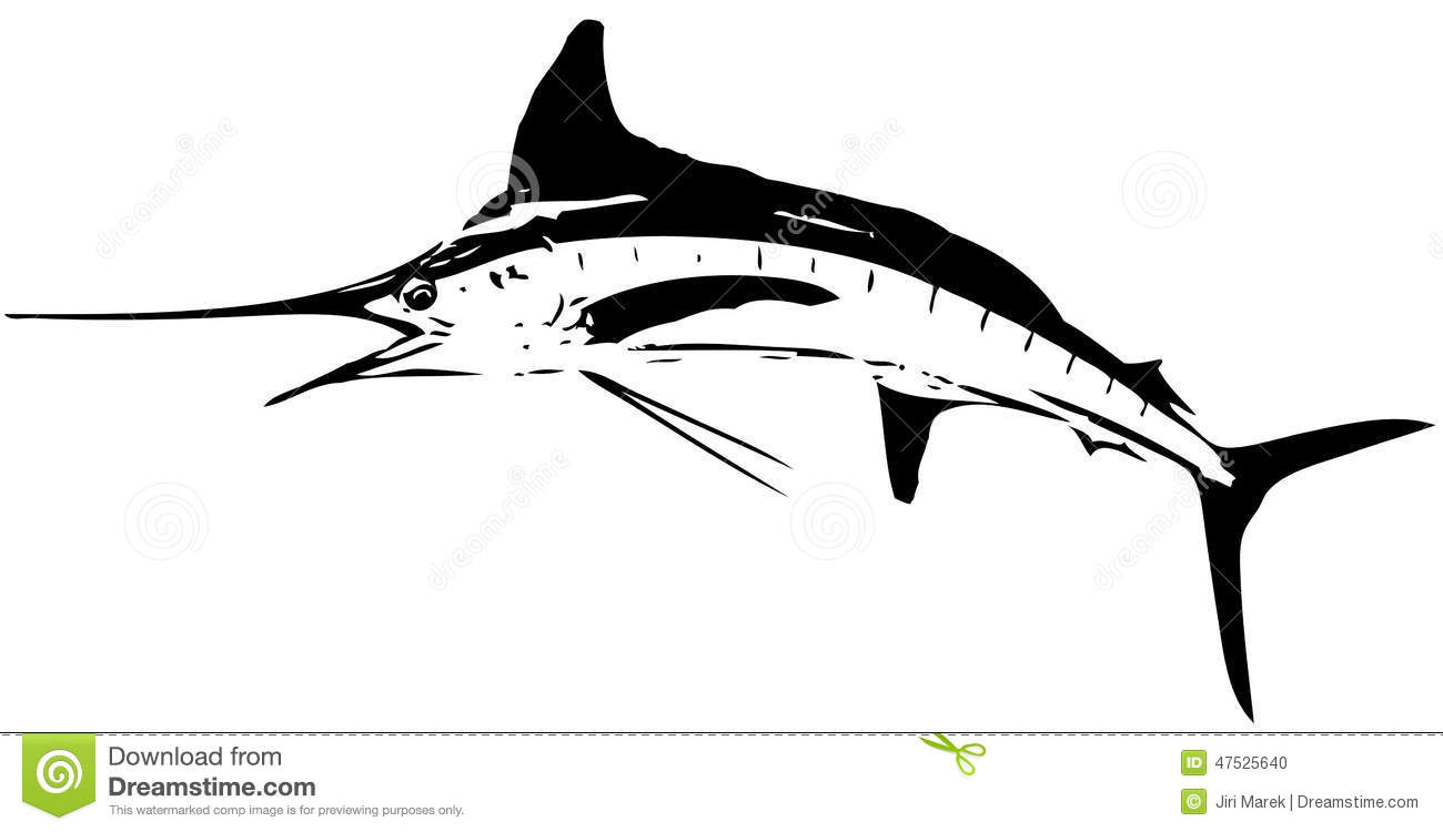 Featured image of post White Marlin Vector